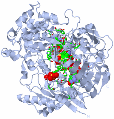 Image Biol. Unit 1 - sites