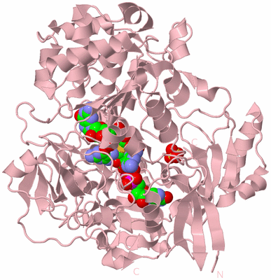 Image Biological Unit 2