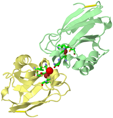 Image Biol. Unit 1 - sites