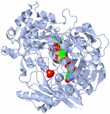 Image Biological Unit 1