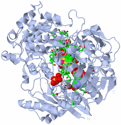 Image Biol. Unit 1 - sites