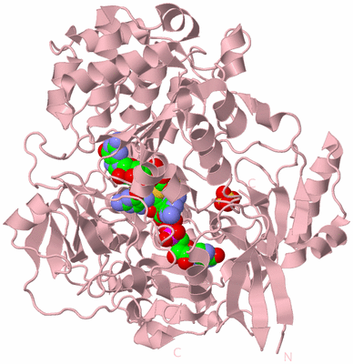 Image Biological Unit 2