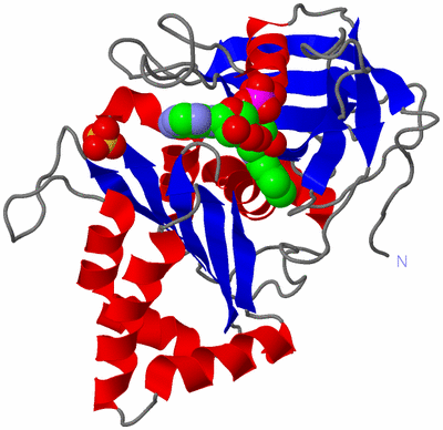 Image Asym./Biol. Unit