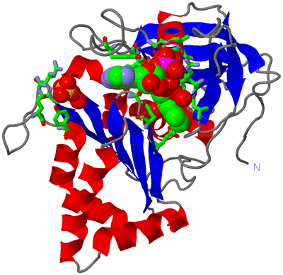 Image Asym./Biol. Unit - sites