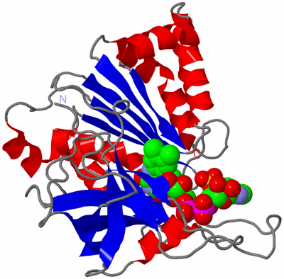 Image Asym./Biol. Unit