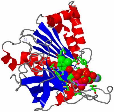 Image Asym./Biol. Unit - sites