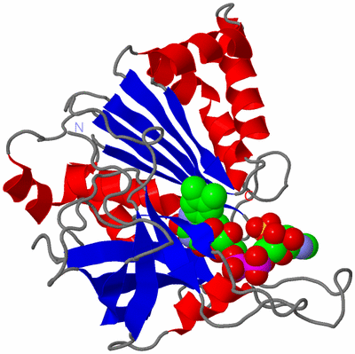 Image Asym./Biol. Unit