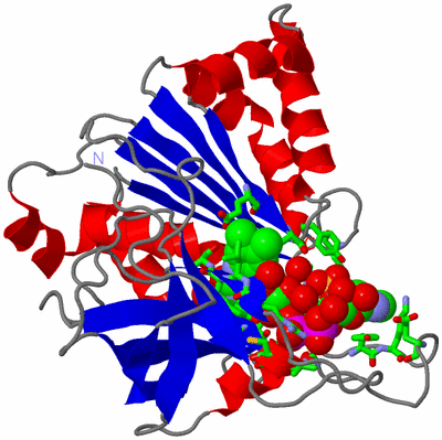 Image Asym./Biol. Unit - sites