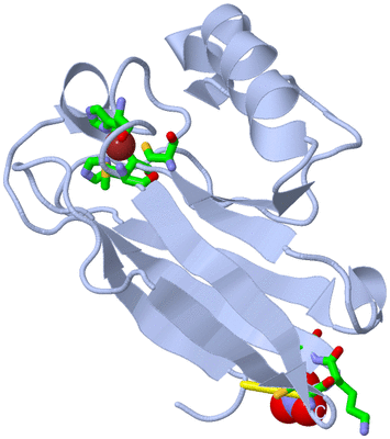 Image Biol. Unit 1 - sites