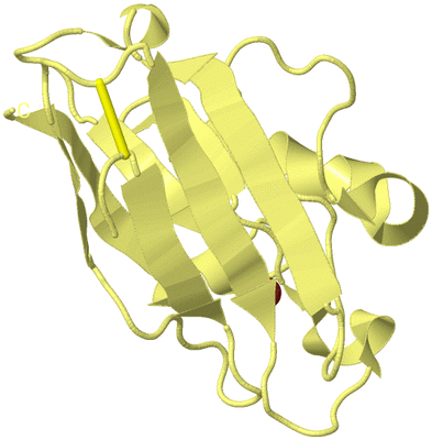 Image Biological Unit 4