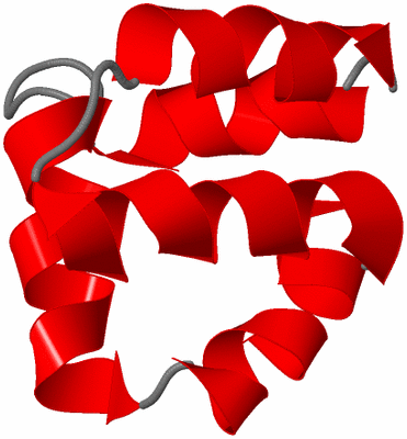 Image NMR Structure - model 1