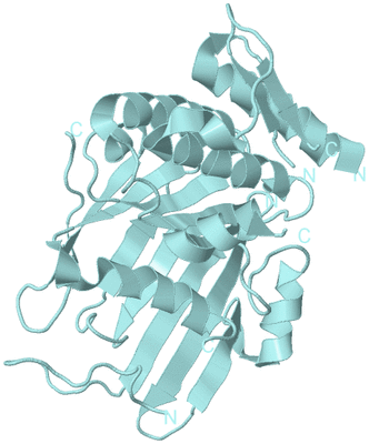 Image Biological Unit 6