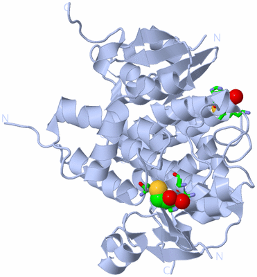 Image Biol. Unit 1 - sites