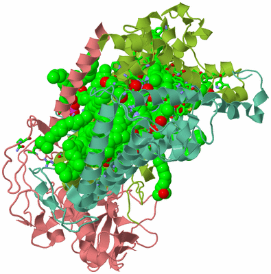 Image Asym./Biol. Unit - sites