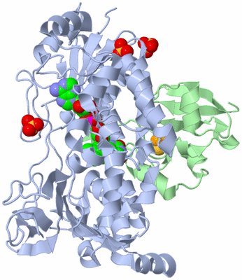 Image Biological Unit 1