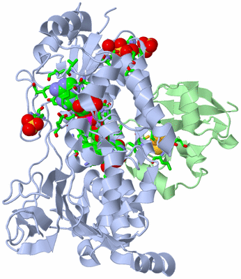 Image Biol. Unit 1 - sites