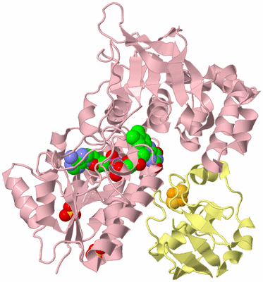 Image Biological Unit 2