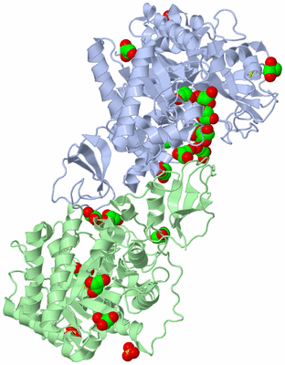 Image Biological Unit 1