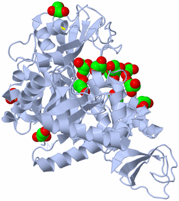 Image Biological Unit 2