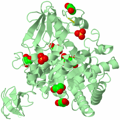 Image Biological Unit 3