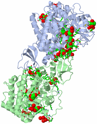 Image Asym. Unit - sites