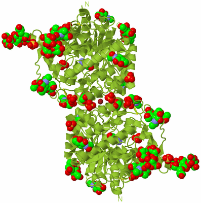 Image Biological Unit 1