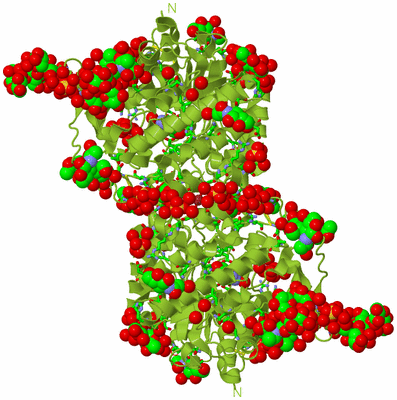 Image Biol. Unit 1 - sites