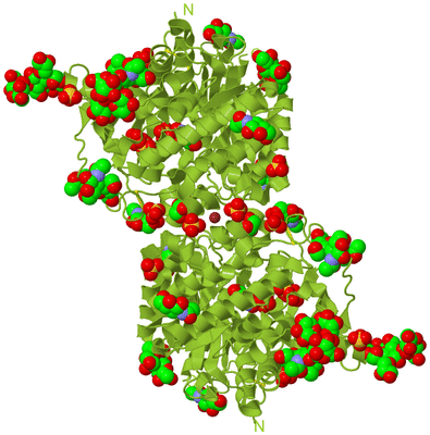 Image Biological Unit 1