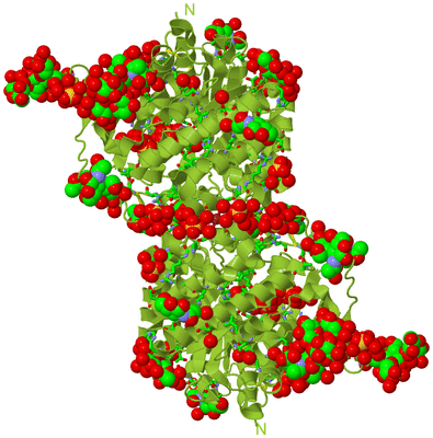 Image Biol. Unit 1 - sites