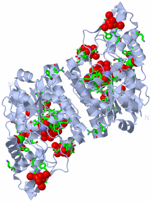 Image Biol. Unit 1 - sites