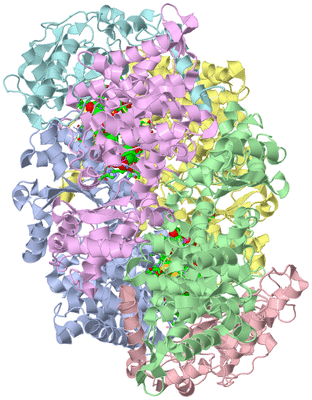 Image Asym./Biol. Unit - sites