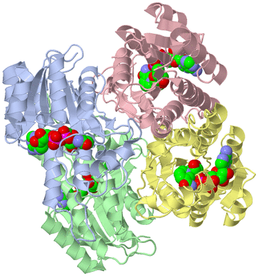 Image Asym./Biol. Unit