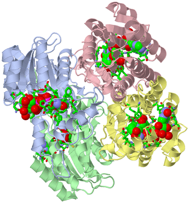 Image Asym./Biol. Unit - sites