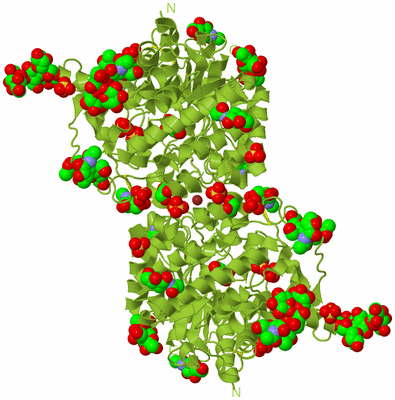 Image Biological Unit 1