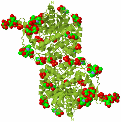 Image Biological Unit 1