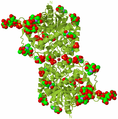 Image Biological Unit 1