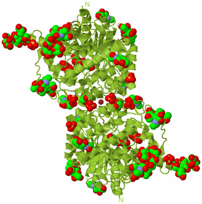 Image Biological Unit 1