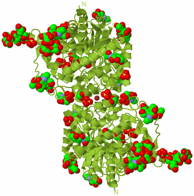 Image Biological Unit 1