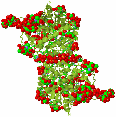 Image Biol. Unit 1 - sites