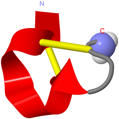 Image NMR Structure - model 1