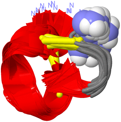 Image NMR Structure - all models