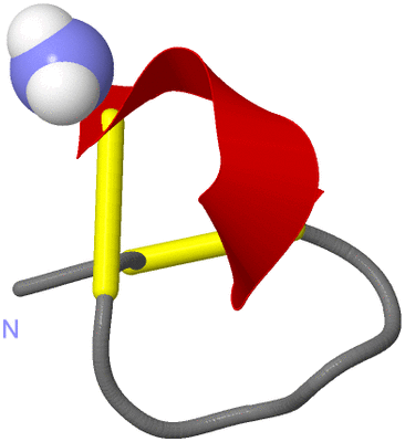 Image NMR Structure - model 1