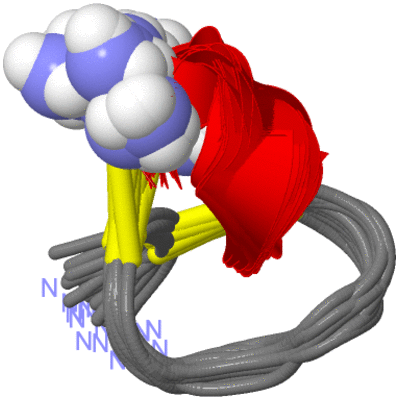 Image NMR Structure - all models