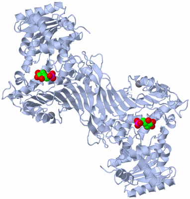 Image Biological Unit 1