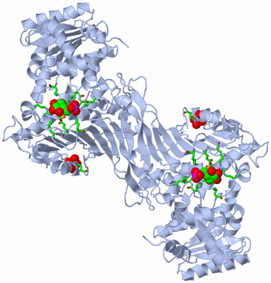 Image Biol. Unit 1 - sites