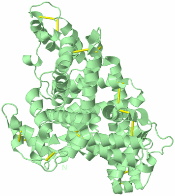 Image Biological Unit 2