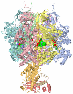 Image Asym./Biol. Unit