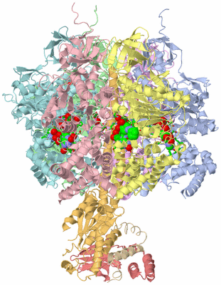 Image Asym./Biol. Unit - sites