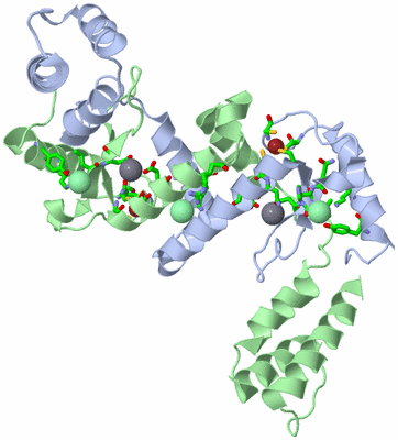 Image Asym./Biol. Unit - sites