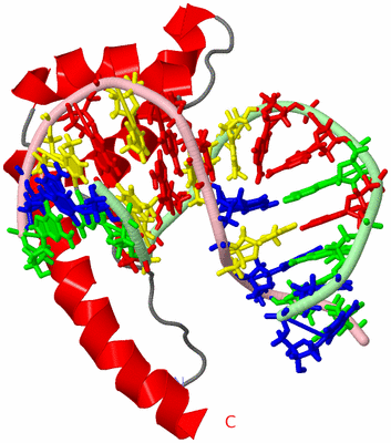 Image NMR Structure - model 1